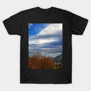 Stormy Weather T-Shirt